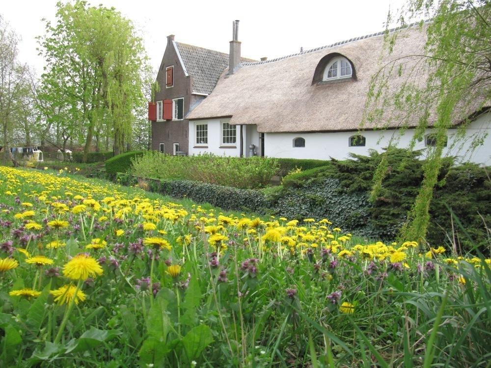 Boerderij Honswijck Pensionat Weesp Exteriör bild